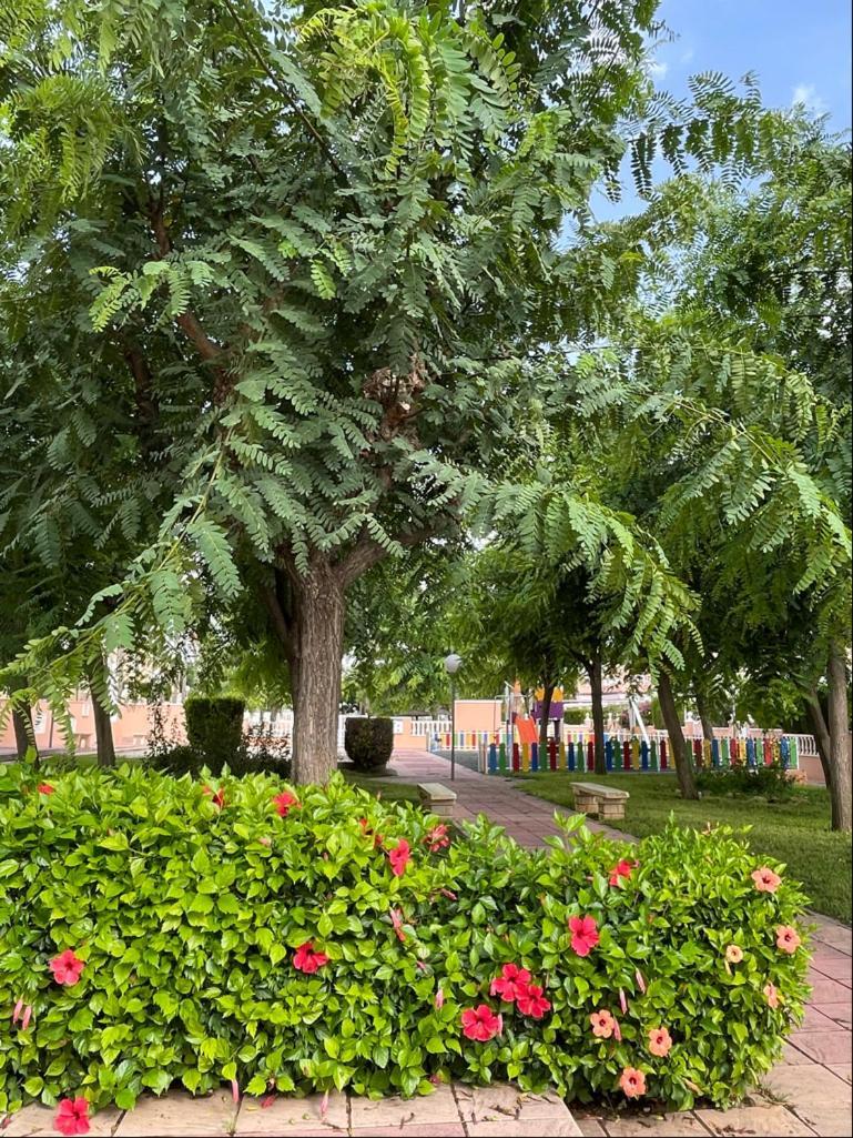 Gran Alicante Bungalow In Beach Resort Puerto Marino Luaran gambar